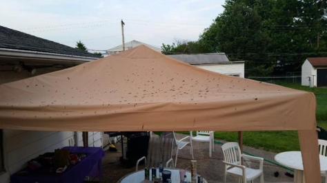 Human waste-covered canopy at a Pennsylvania birthday party