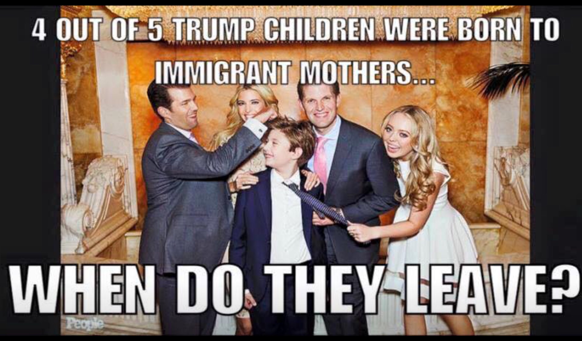 Image result for trump anchor babies